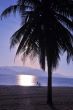 Landscape on beach