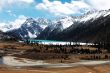Landscape in winter