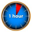 One hour