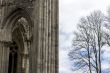 the ruins of the abbey in northern France