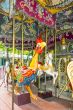 Colorful horses and cock in vintage carousel