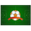 Ball icon in the field