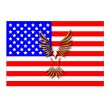 The American flag