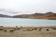 Landscape in Tibet