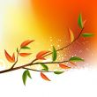 Tree Branch