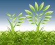 theme of growth 