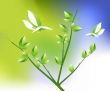  Ecology concept 