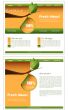 Website template