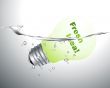  incandescent lamp