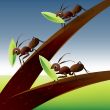 Team Work Spirit