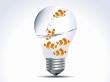 set of clown fish in the bulb