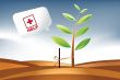 Environmet conceptual
