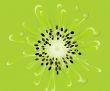 green kiwi slice wallpaper