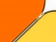 Golden zipper