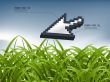 Green Grass