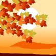autumn leaves 