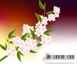 Group_C_004