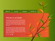 Website template