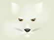 Fox Face