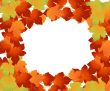 autumn leaves 