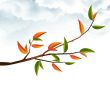 Tree Branch