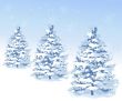 Christmas Background