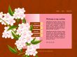 Website template