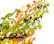 colored Abstract background