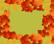 autumn leaves 