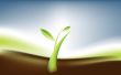 theme of growth 
