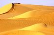 Landscape of golden desert