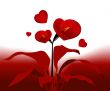 Love Concept
