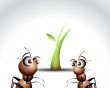 Ant Character