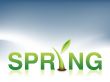 Spring Logo