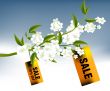 Sales and discount concept