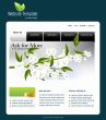 Website template