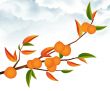Tree Branch