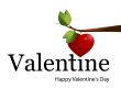Valentine`s Day