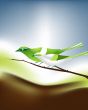  Ecology concept 