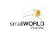 Small World Business logo