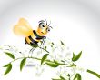 Happy Bee Character