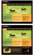 Website template