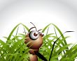 Antic Ant Character
