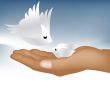 Hand holding small bird