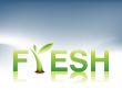 Fresh Logo
