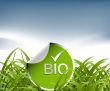  Ecology concept 