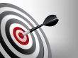 Success Target