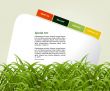 Website Template
