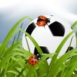 ball between grass