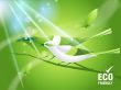 environmental Concept